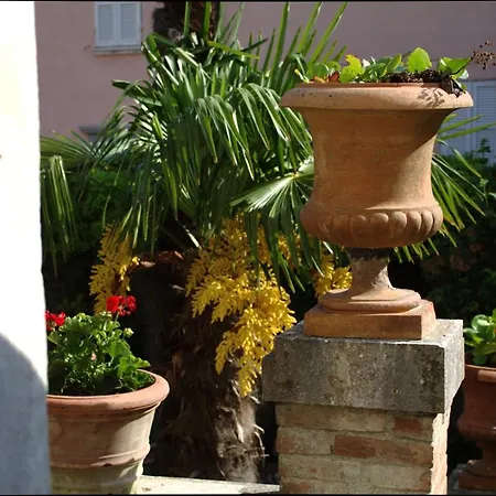 Palazzo Palesa Bed & Breakfast